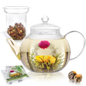 glass-teapot