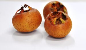 Medlar Pome Fruit, Chinese Loquat Dehydrated Ingredient in Eight Treasure Tea
