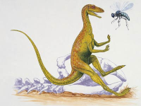 bee-and-dinosaur-alfie